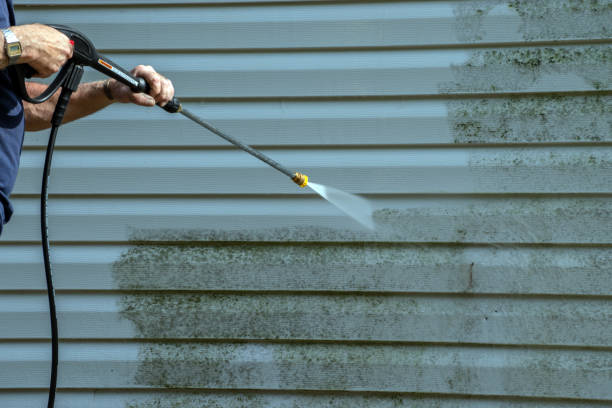 Best Driveway Pressure Washing  in Goodland, IN
